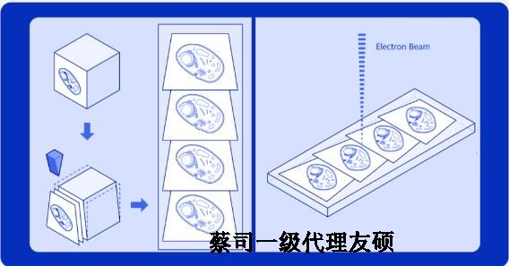 台州蔡司台州扫描电镜