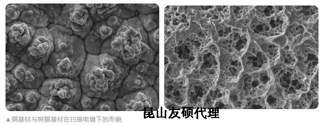 台州蔡司台州扫描电镜